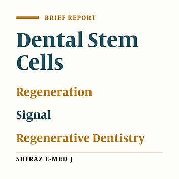 Freeze-Dried Dentin Derivative Signal as a Factor for Differentiation of Human Dental Pulp Stem Cells: An In Vitro Study