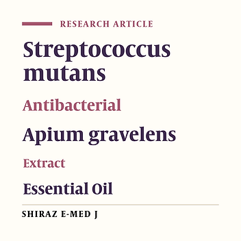 Comparison of the Antibacterial Effect of the Essence and Hydroalcoholic Extract of Celery (Apium graveolens) Against Streptococcus mutans in Vitro