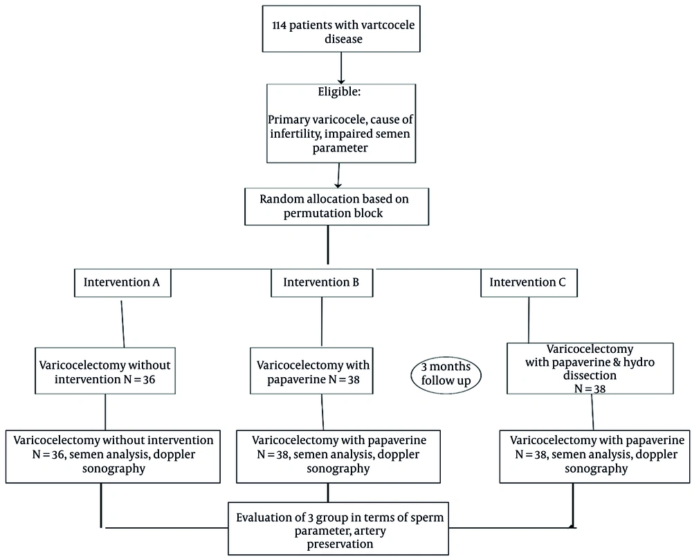 Consort flow diagram of the study Consort flow diagram of the study