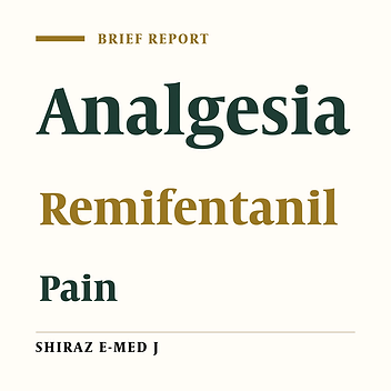 Comparison of the Effect of Incremental Bolus and Incremental Infusion Regimens of Remifentanil on Labour Pain