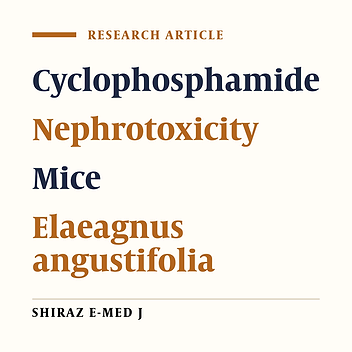 Protective Effect of Elaeagnus angustifolia L. Fruit Hydroalcoholic Extract on Cyclophosphamide-Induced Nephrotoxicity in Mice