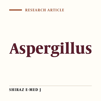Typing of Aspergillus Fumigatus and Aspergillus Niger Strains by Random Amplification of Polymorphic DNA Analysis Using a Six Primer Set.