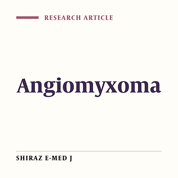 Aggressive Angiomyxoma of the Vulva: a Case Report.