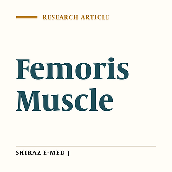 Hydatid Cyst of the Biceps Femoris Muscle (a Rare Case in Orthopedic Surgery).
