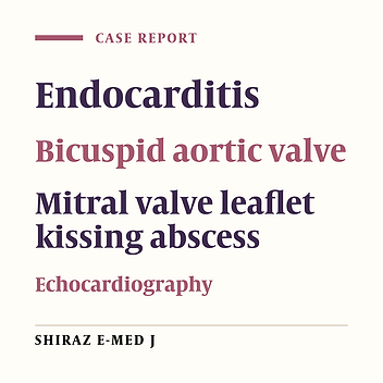 Ruptured Mitral Valve Kissing Abscess to Left Atrium in Course of Aortic Valve Endocarditis