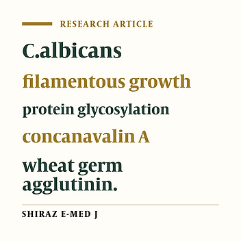 Characterization Of Two Soluble (52 / 42 Kda) Glycoproteins Whose Pattern Is  Up-Regulated During Yeast-To-Filament Growth Transition Of C. Albicans