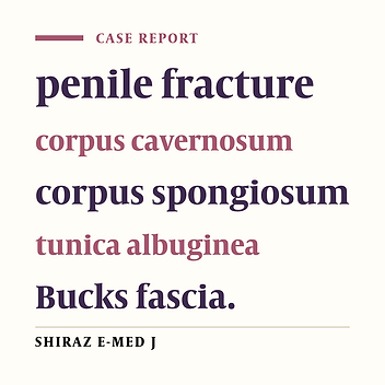 Role of Ultrasound in Diagnostic Aid of a Case of Penile Fracture