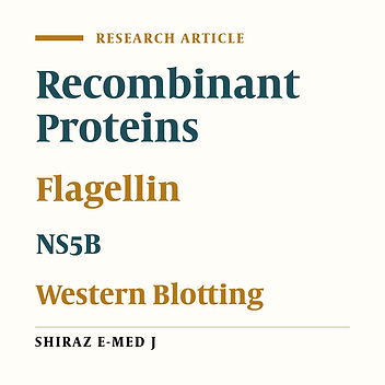 Cloning, Expression and Purification of a Novel Fusion Protein Composed of Flagellin and NS5B of Hepatitis C Virus in Escherichia coli Host