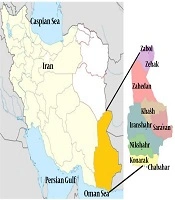 Seroprevalence of Human Fascioliasis Using ELISA in Sistan and Baluchestan Province, Southeast of Iran