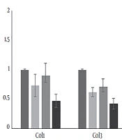 Effect of Resistance Training Along with Curcumin Supplementation on Expression of Some Regulator Genes Associated with Cardiac Muscle Structure in Obese Rats