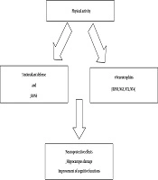 Cover image of the article: Effect of Physical Activity on Cognitive Function and Neurogenesis: Roles of BDNF and Oxidative Stress