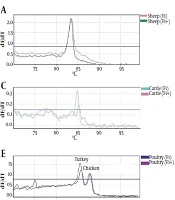 Real-time PCR High-resolution Melting Analysis for the Species Identification of Meat Products: Focusing on Food Safety and Detection of Meat Adulterations