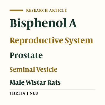 Investigation of the Effects of Bisphenol A on the Histology and Ultrastructure of Prostate and Seminal Vesicle Glands in Rats