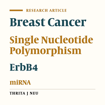 HER4 rs1595065 3'UTR Variant is a Possible Risk Factor for HER2 Positivity Among Breast Cancer Patients