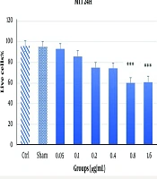 Neurogenic Potential of Acacia oerfota: Evaluating the Effects of DMT-Rich Extract on PC12 Cells