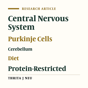 Assessment of the Effects of Protein Malnutrition on Cerebellar Purkinje Cells in Adult Rats