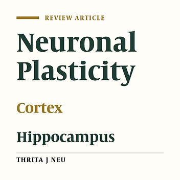 Synaptic Neuronal Plasticity