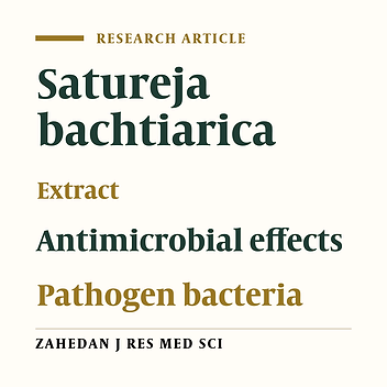 Antimicrobial Effect of Aqueous, Ethanol, Methanol and Glycerin Extracts of Satureja bachtiarica on Streptococcus pyogenes, Pseudomonas aeruginosa and Staphylococcus epidermidis