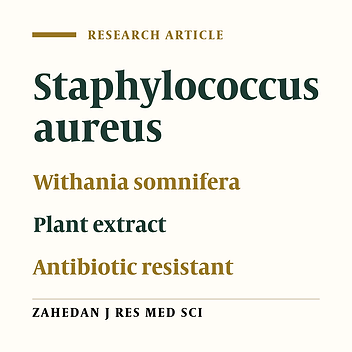 Evolution of Antimicrobial Activity of Leaf Extract of Withania somnifera Against Antibiotic Resistanct Staphylococcus aureus