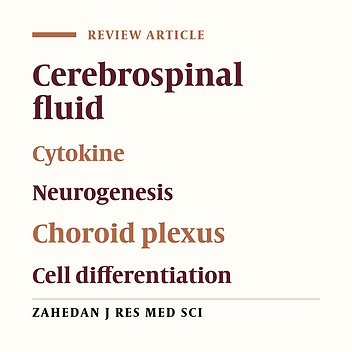 CSF Protein Contents and Their Roles in Brain Development