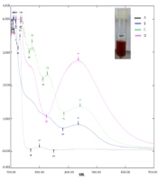 In Vitro Activation of Ampicillin Effect with Plant Extract Cocktail-Mediated Silver Nanoparticles Against Multidrug-Resistant Bacteria Pathogens