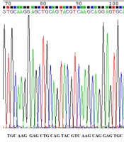 Mutational Study in the Exon2 of Osteoprotegrin Gene in Osteoporotic Women in Chahar Mahal va Bakhtiari Province of Iran