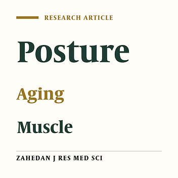 Effect of Aging on Feasibility and Contribution of Joint Mechanisms in Balanced Standing Using Biomechanical Modeling