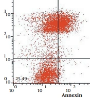 Cytotoxic Effects of Amaranth (Amaranthus caudatus L.) Extract on Human Hepatocyte Cell Lines