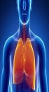 Relationship between Body Composition and Cardiorespiratory Fitness in Students at Postgraduate Level