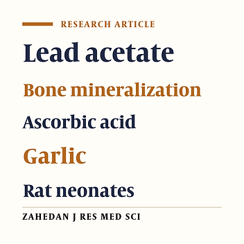 The Effects of Ascorbic Acid and Garlic on Bone Mineralization in Lead Exposed Pregnant Rats