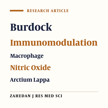 Comparison of the Immunomodulatory Properties of Root and Leaves of Arctium Lappa (Burdock) in Vitro