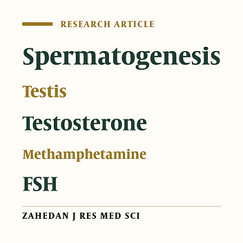 Effects of Methamphetamine on Pituitary Gonadal Axis and Spermatogenesis in Mature Male Rats