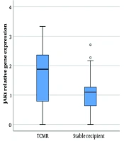 Upregulated Expression of Janus Kinase Genes in T Cell-Mediated Acute Kidney Allograft Rejection