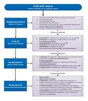 Advances in Management Methods for Convulsive Status Epilepticus in Children: A Review of Iran Algorithms