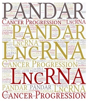 LncRNA PANDAR in Hepatocellular Carcinoma: Expression Patterns, Molecular Mechanisms, Clinical Relevance, and Therapeutic Implications