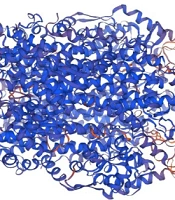 Bioinformatic Analysis of Phenylalanine Ammonia-Lyase Gene: Implications in Oligomeric Procyanidin Biosynthesis in Peach and Interaction with Cardiac Myosin Genes (MYBPC3) in Hypertrophic Cardiomyopathy