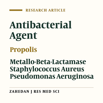 Antibacterial Activity of Propolis Ethanol Extract against Antibiotic Resistance Bacteria Isolated from Burn Wound Infections