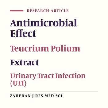 Antibacterial Effect of Teucrium polium on the Bacteria Causing Urinary Tract Infections