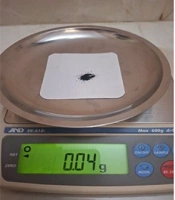 Evaluation of the Antimicrobial Effect and Shear Bond Strength of Orthodontic Fixed Retainers Bonded with Composite Containing Copper Oxide Nanoparticles: An in vitro Study