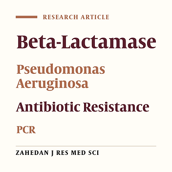 Occurrence of Ambler Class B Metallo-β-Lactamase Gene in Imipenem-Resistant Pseudomonas Aeruginosa Strains Isolated from Clinical Samples