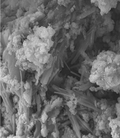 Evaluation of Antimicrobial Effects of Green Zinc Nanoparticles Synthesized in Aqueous Extract of Ducrosia anethifolia (DC.) Boiss. Against Some Food Pathogens