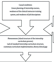 Investigating the Current Status of the Clinical Internship Curriculum in Paramedical Student Training Courses: A Grounded Theory Approach