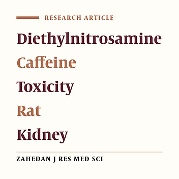 Effects of Caffeine on Renal Toxicity Induced by Diethylnitrosamine