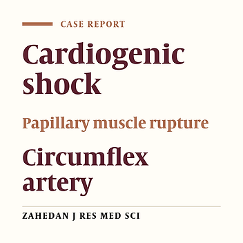 Cardiogenic Shock and Anterior Papillary Muscle Rupture Caused by Blood Supply to Diagonal Artery