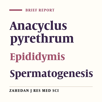 The Effects of Aqueous Extract of Anacyclus Pyrethrum on Sperm Count and Reproductive Organs in Adult Male Rats