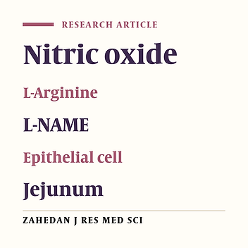 Morphometry of Rat Jejunal Enterocytes Number and Height after L-Arginine and L-NAME Administration