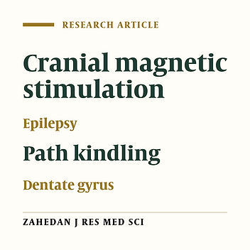 Investigating the Anticonvulsant Effects of Repetitive Transcranial Magnetic Stimulation on Perforant Path Kindling Model in Rats