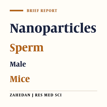 The Effect of Iron Oxide Nanoparticles on Sperm Numbers and Mobility in Male Mice