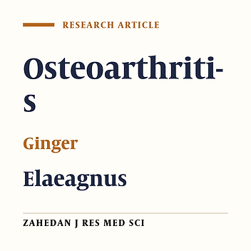 Effects of Ginger and Elaeagnus angustifolia Extracts in Symptomatic Knee Osteoarthritis