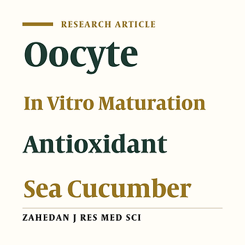 The Sea Cucumber Body Wall Extract Promoted in Vitro Maturation of NMRI Mice Follicles at Germinal Vesicle Stage